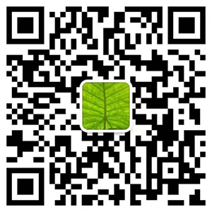 保定星嘉養(yǎng)老服務(wù)有限公司